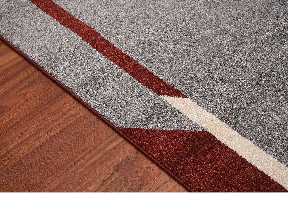 Fine Sleek Area Rug MNC 300