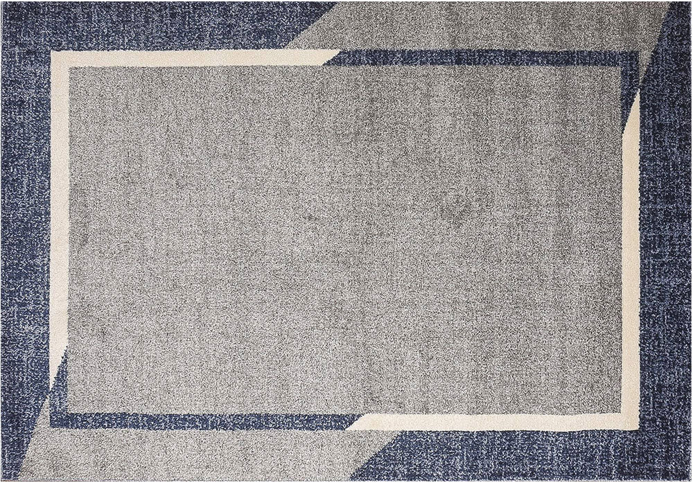Fine Sleek Area Rug MNC 300
