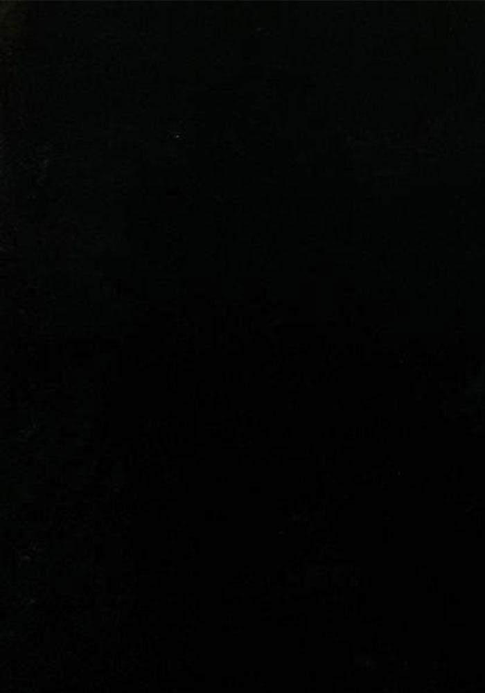 Black Bunny Area Rug