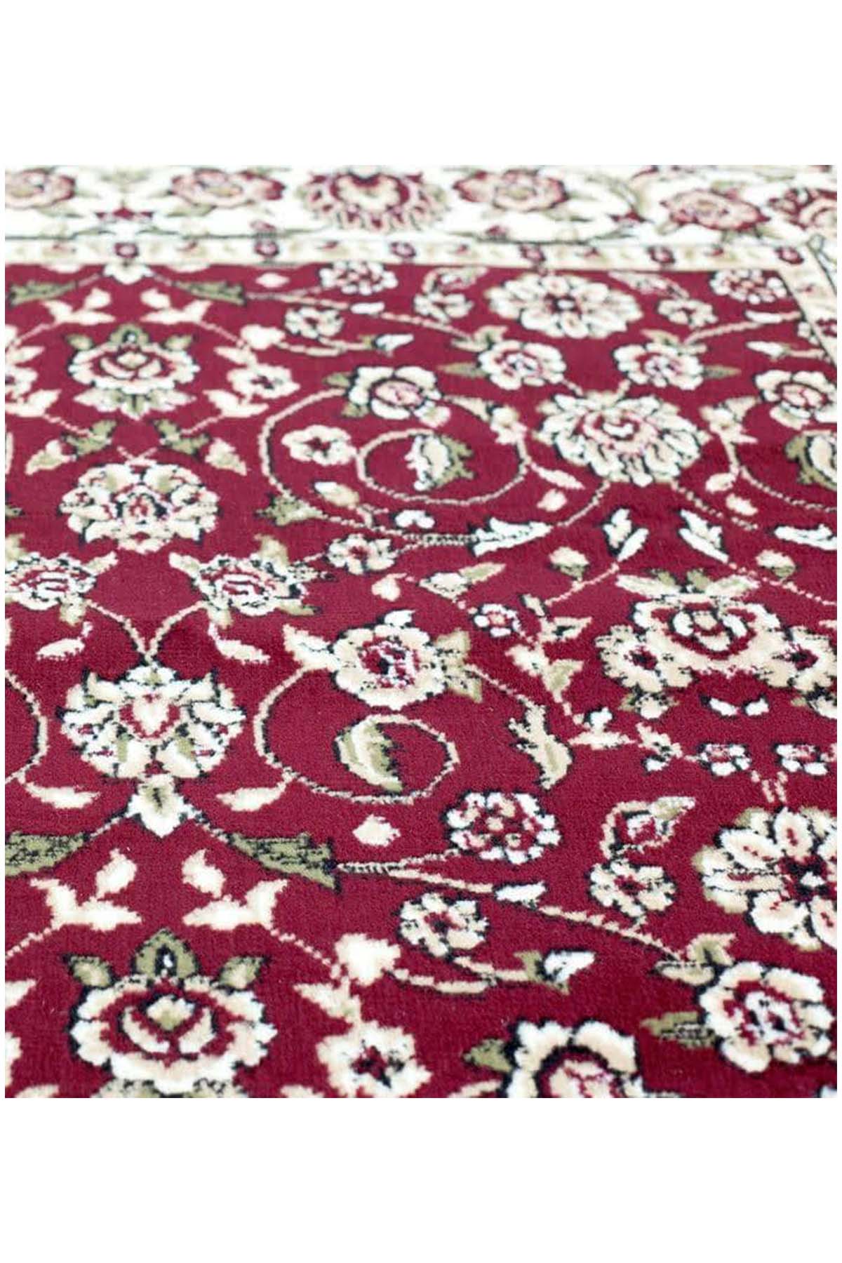 Sun Ray Outline Red Area Rug Nairobi 1162