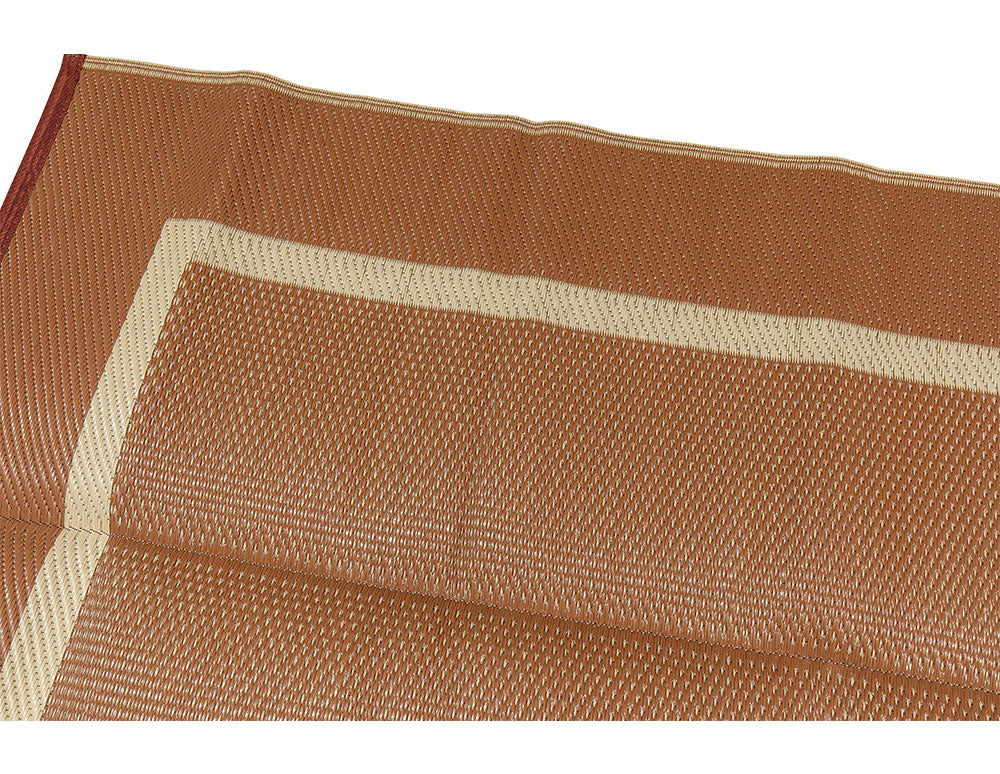 Border Design Beige Brown Reversible Indoor/Outdoor Mat Area Rug with Bag