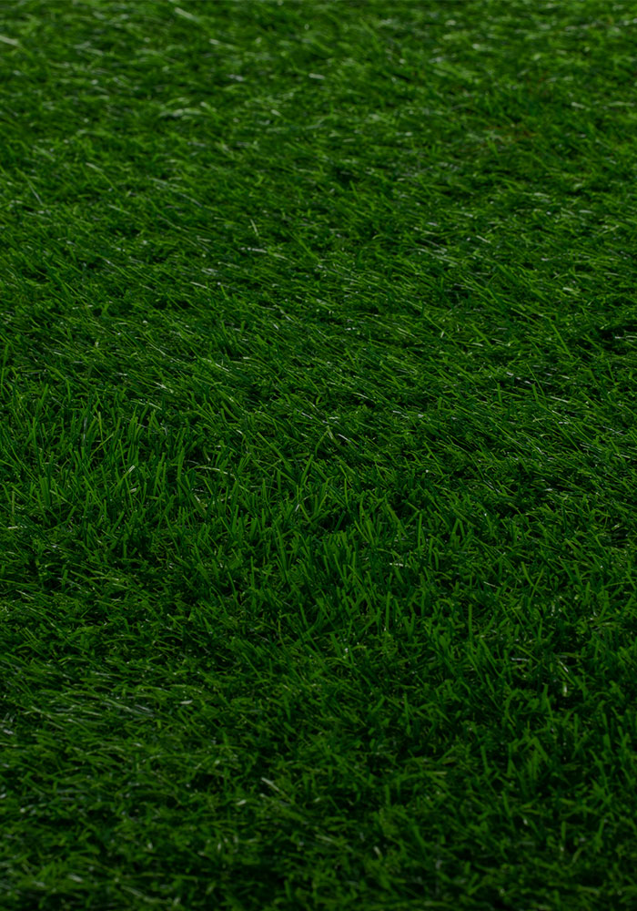 Green Field Artificial Grass Rugs 3x